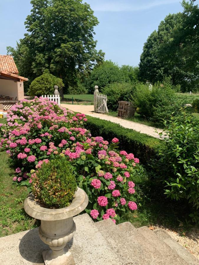 Chambre D'Hotes Et Table D'Hotes Domaine De La Terrasse Sas Et Gite Anda Montauban Lacourt-Saint-Pierre Esterno foto